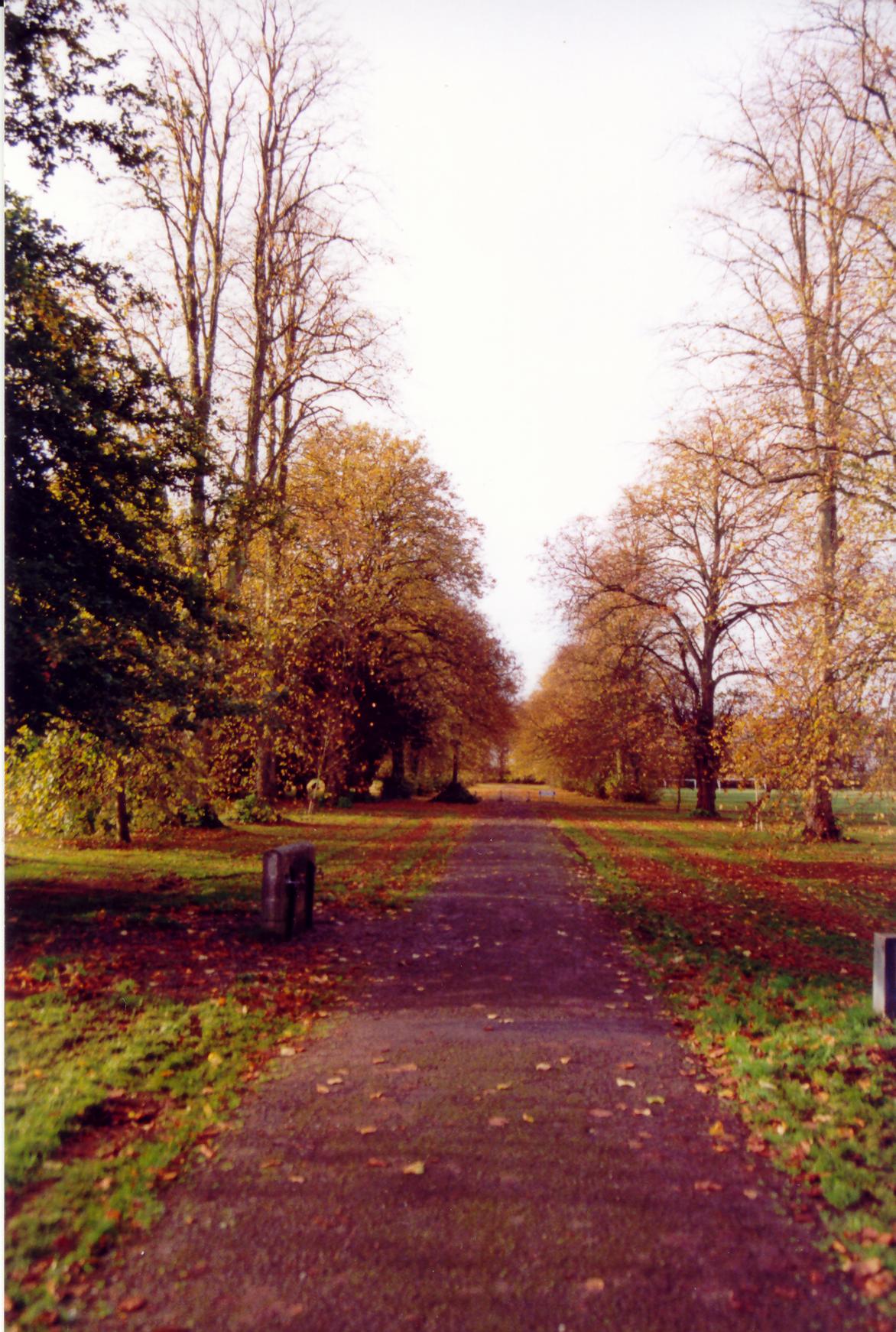 walkupthepark.jpg